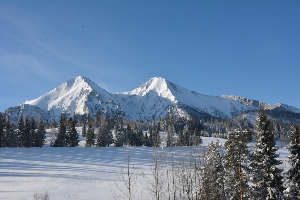 Penzion Viktoria Ždiar Exteriör bild
